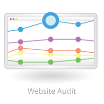 Website Audit