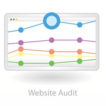 website audit cost